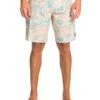 Quiksilver SURF - Badeshorts - Birch