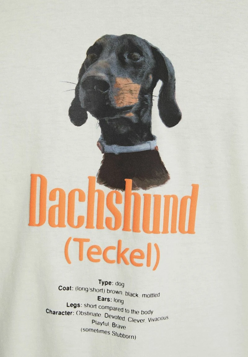 BERSHKA SHORT SLEEVE - T-Shirt Print - White 6 BERSHKA SHORT SLEEVE - T-Shirt Print - White – Bild 6