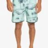 Quiksilver SCALLOP - Badeshorts - Beach Glass