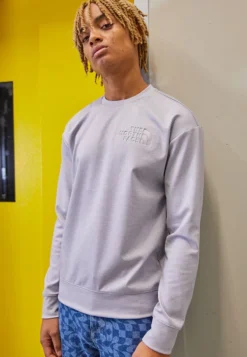 The North Face SPACER AIR CREW - Langarmshirt - Light Grey Heather