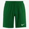Nike Performance DRY PARK III - Kurze Sporthose - Pine Green / White
